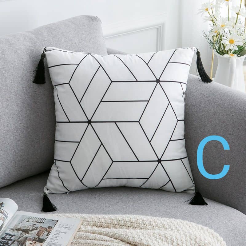 Zebra pillow+pillow case