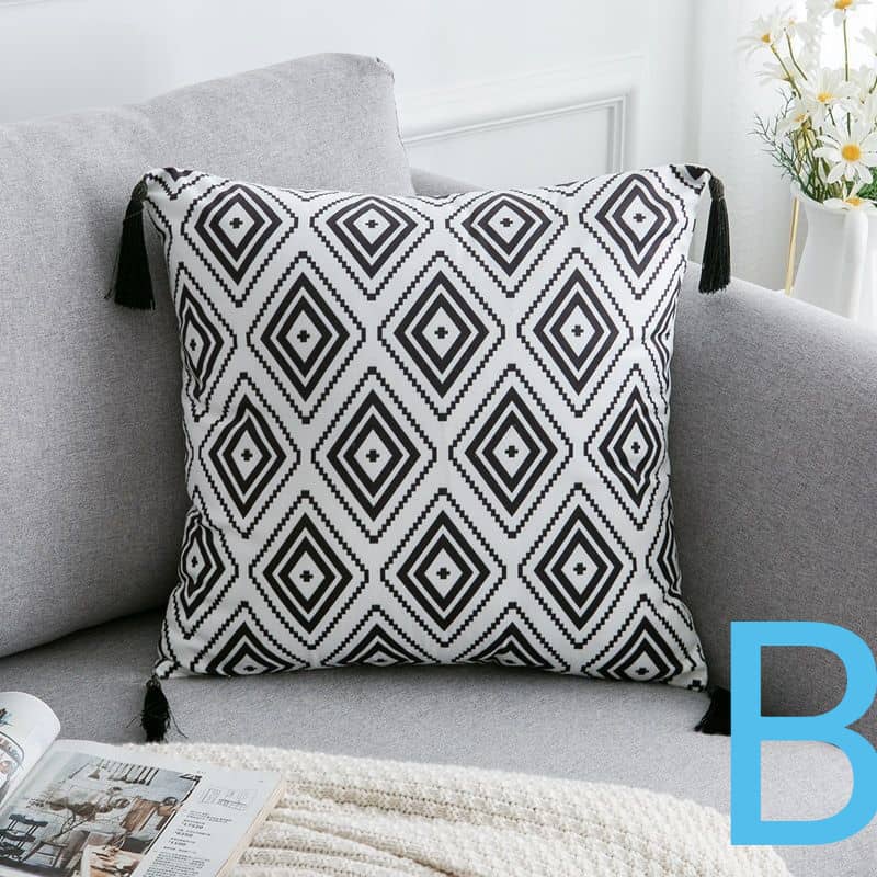 Zebra pillow+pillow case